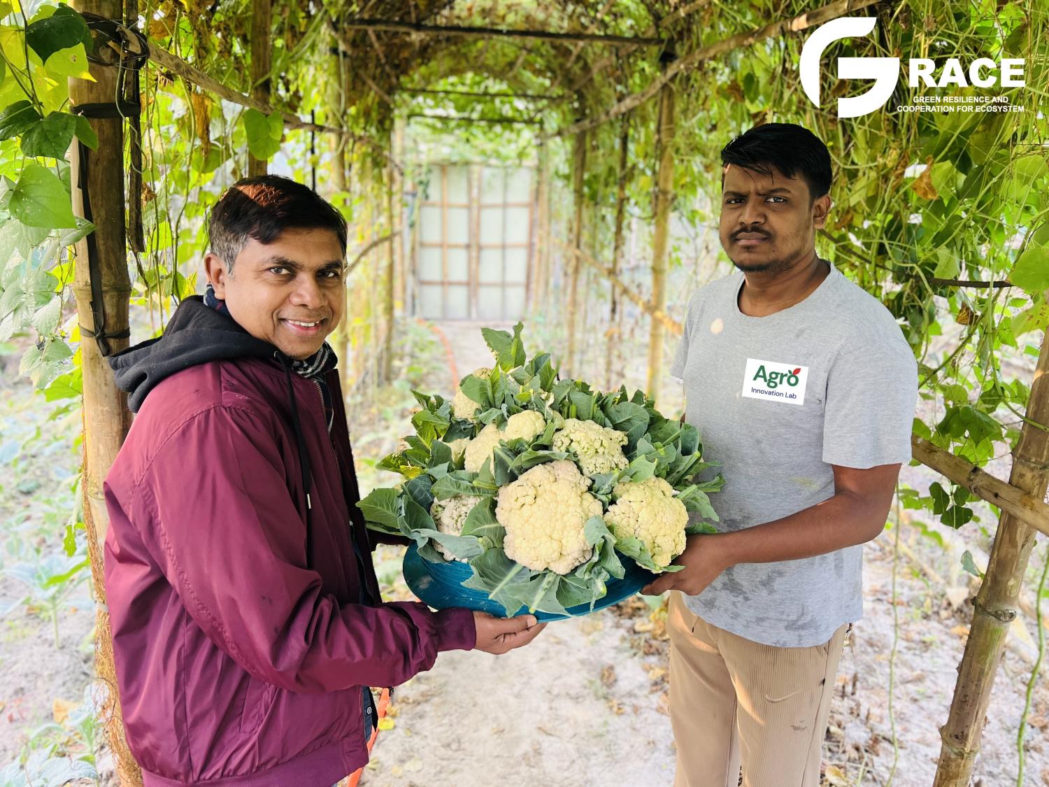 Youth Engagement Transforming Communities